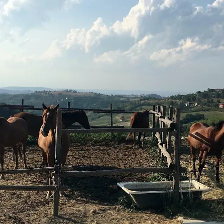 Maison Christine - Family Farm * Bossolasco