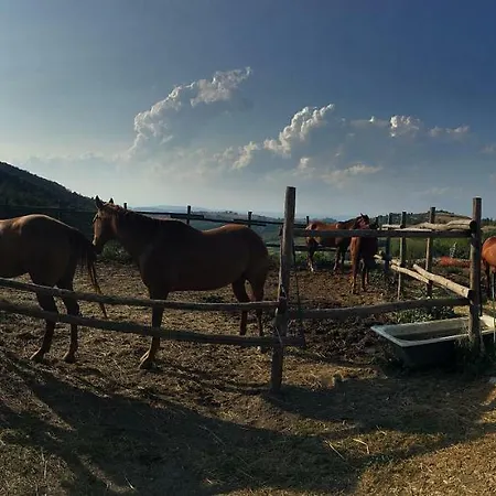 Maison Christine - Family Farm Bossolasco