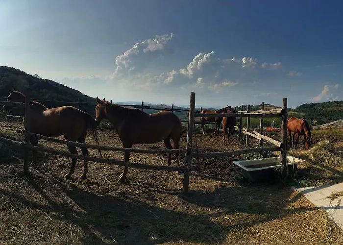 Maison Christine Bossolasco